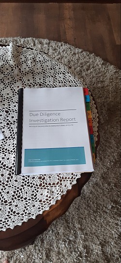 Due Diligence