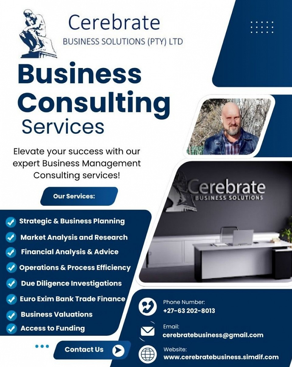 Cerebrate Business Solutions Services Brochure